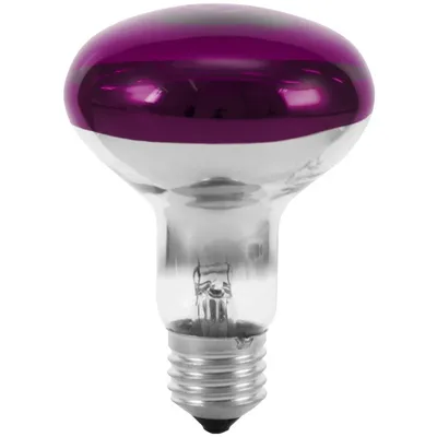 Immagine prodotto di Omnilux R80 230V/60W E-27, viola