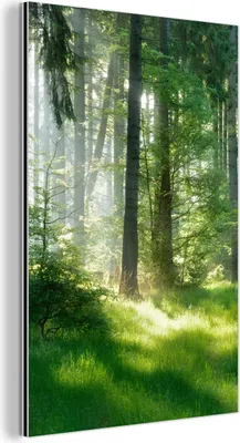 Produktbild von MuchoWow Wanddekoration Metall Metallbild Wandkunst 60x90 cm Natur - Bäume - Wald - Grün - Sonne - Gras - Pflanzen MuchoWow Aluminium Gemälde - Wandbilder - Aluminium
