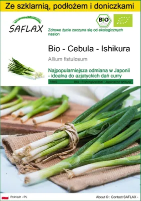 Zdjęcie produktu dla SAFLAX - Zestaw do uprawy - Bio - Cebula - Ishikura - 150 Nasiona - Z mini szklarnią, podłożem uprawowym i 2 doniczkami - Allium fistulosum