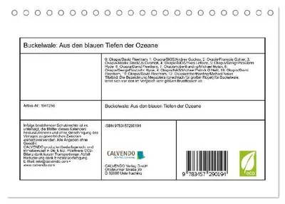 Produktbild von Buckelwale: Aus den blauen Tiefen der Ozeane (Tischkalender 2026 DIN A5 quer), CALVENDO Monatskalender