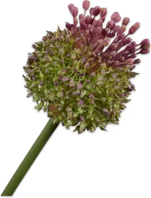 Produktbild von Kunstblume von Silk-ka – Seidenblume Distelstiel, Fliedergrün, 87 cm