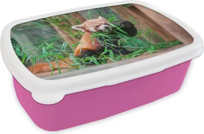 Produktbild von KitchenYeah® Lunchbox Brotzeit Brotdose 17x11 cm Roter Panda - Bambus - Grün Kinder Brotzeitdose - Lunchpaket - Brotkasten  - Sandwich Box