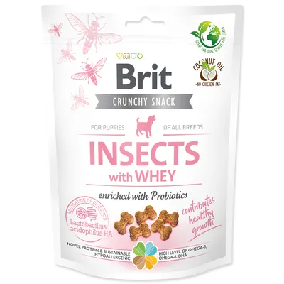 A product shot of a bag of dog treats.