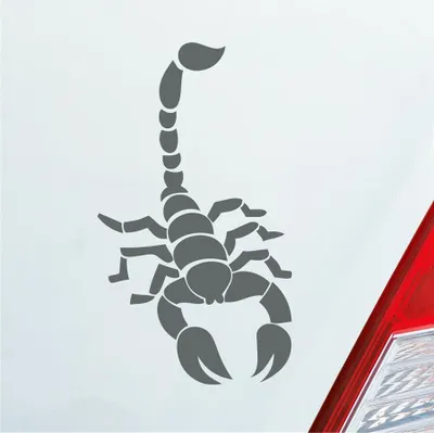 Produktbild von Auto Aufkleber Skorpion Krebs Motorrad Sternzeichen 15x8,5 cm Grau Sticker Heckscheibenaufkleber