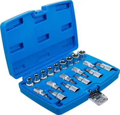 Produktbild von BGS 5100 Bit-Einsatz / Steckschlüssel Set E-Profil / T-Profil, 12,5 (1/2), 19-tlg.