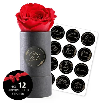 Productafbeelding van MyFlowers "Infinity" roos - een echte, geconserveerde rozenbloem - blijft tot 3 jaar mooi