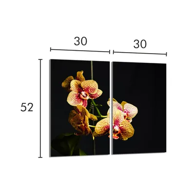 Imagen del producto de Placa de vitrocerámica protectora para cocina, 2x30x52 cm, marca Orchidea