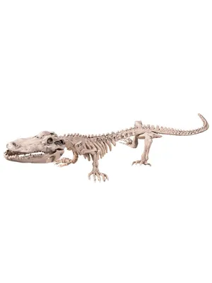 Image de Décoration d'Halloween : squelette de crocodile, 16 x 50 cm