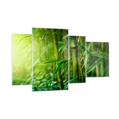 Produktbild von Bilder auf glas - Bambus Pflanze - 120x70cm - Glasbilder - Wandbilder - Kunstdruck - zum Aufhängen bereit - Wanddekoration aus Glas - Glas Bilder - Wandbild auf Glas - 4 Teile - GDL120x70-3558