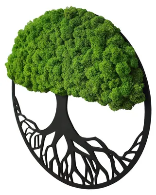 Productafbeelding van Wanddecoratie met Mosshanger in Boomvorm 40cm
