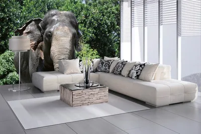 Produktbild von Vlies Fototapete SUMATRA-ELEFANT 375 x 250 cm (inkl. Kleister) - Vlies Tapete, Wandtapete, Wandbilder - Tapete für Wohnzimmer Schlafzimmer, Büro, Küche - Montagefertig