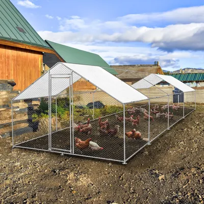 Immagine prodotto di Recinto per polli - Gabbia per polli - Recinto esterno per polli - Recinto grande per polli - Recinto per polli con copertura - 4m x 8m x 2m