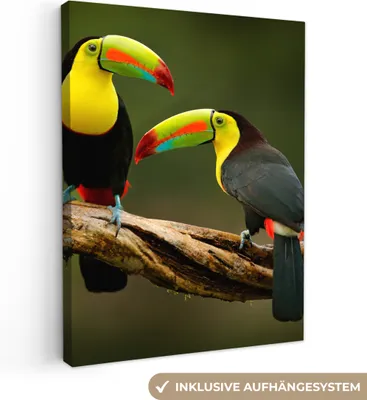 Produktbild von MuchoWow® - Leinwandbilder - Vögel - Tukan - Zweig - Tiere - Regenbogen, Wandbild, Wanddeko Bilder Wohnzimmer, 90x120 cm