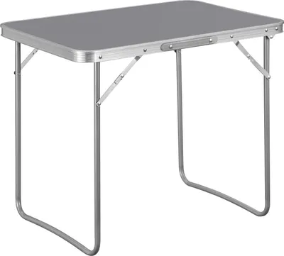 Produktbild von WOLTU Campingtisch Klapptisch Reisetisch, mit Griff, Grau