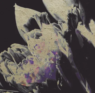 Obrázek produktu pro Various Artists - Traversee 04 - Moving Silhouettes (LP)
