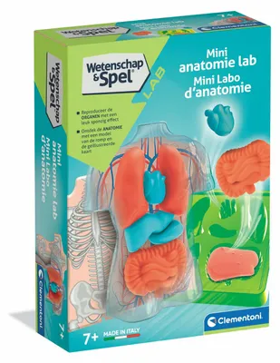 Obrázok produktu pre Vzdelávacia hračka Clementoni Squishy Anatomy pre deti od 7 rokov