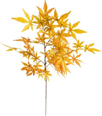 Produktbild von James künstlicher ahornstamm h102cm - Atmosphera créateur d'intérieur