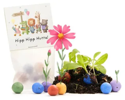 Produktbild von 5 Blumenmurmeln im Tütchen zur Einschulung - Hipp Hipp Hurra!
