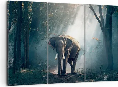 Produktbild von Bild auf Leinwand - Leinwandbild - elefant natur - 105x70cm - Wand Bild - Wanddeko - Wandbilder - Leinwanddruck - Bilder - Kunstdruck - Wanddekoration - Leinwand bilder - Wandkunst - CE105x70-3972