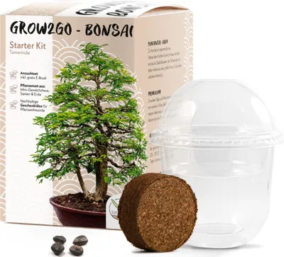 Produktbild von GROW2GO Bonsai Starter Kit inkl. GRATIS eBook - Tamarinde