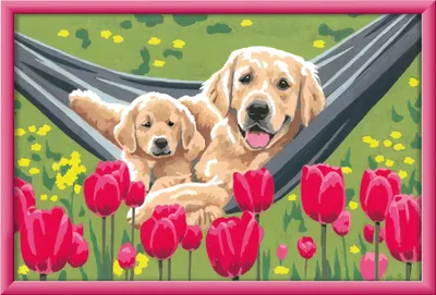 Immagine prodotto di Kuschelpause Ravensburger 20164