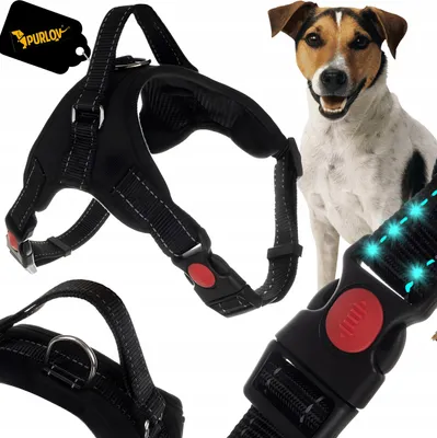 Immagine prodotto di Pettorina per cani senza pressione S
