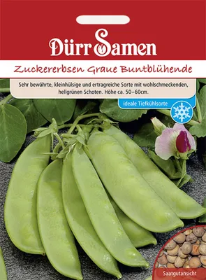 Produktbild von Dürr-Samen - Zuckererbsen Graue Buntblühende - Saatgut - 0206