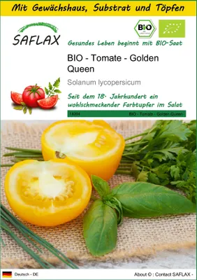 Produktbild von SAFLAX Anzucht Set - BIO - Tomate - Golden Queen - Solanum lycopersicum - 15 Samen - Mit Mini-Gewächshaus, Anzuchtsubstrat und 2 Töpfen