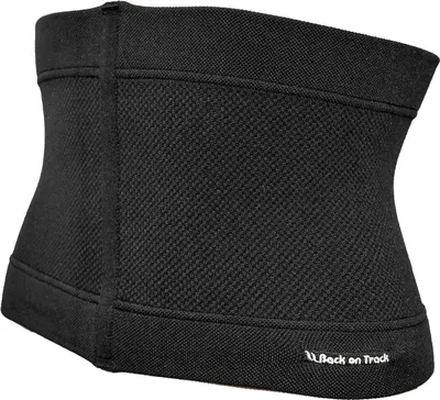 A black back support brace.