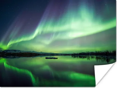 Produktbild von MuchoWow® Poster Nordlicht - See - Island - Grün - Wald - Schnee 120x90 cm - Wandbild