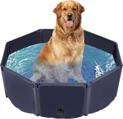 Produktbild von Famanu Haustierpool - Faltbares Schwimmbad - Für große und kleine Hunde - Antirutsch - Tragbar - 100 x 30 cm