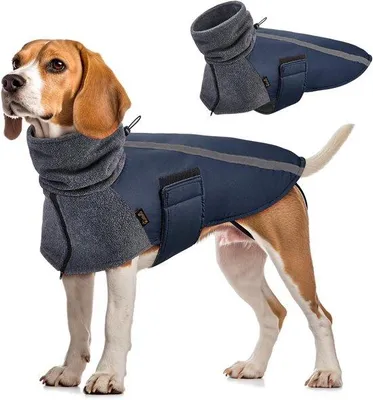 Produktbild von Wasserdichter Winddichter Hundemantel Winter - Mittelgröße - Dunkelblau