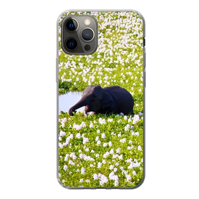 Produktbild von MuchoWow® Handyhülle Schutzhülle Hülle für iPhone 12 Pro Elefant - Wasser - Pflanzen - Grün - Natur - Tiere Silikon Softcase Handy Hülle - Abdeckung