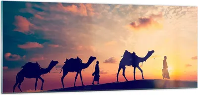 Produktbild von Bilder auf glas - Kamel Wohnwagen - 100x40cm - Glasbilder - Wandbilder - Kunstdruck - zum Aufhängen bereit - Wanddekoration aus Glas - Glas Bilder - Wandbild auf Glas - Einteilig - GAB100x40-3672