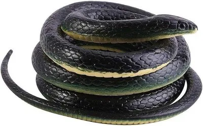 Produktbild von Einzigartiges Gartendekorelement, groß für Halloween, Party und Vogelschutz