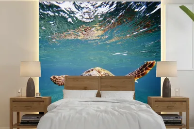 Produktbild von MuchoWow® Fototapete für Wohnzimmer oder Schlafzimmer Wandtapete Vinyl Motivtapete Schildkröte - Wasser - Blau - 280x280 cm - Hintergrundbild