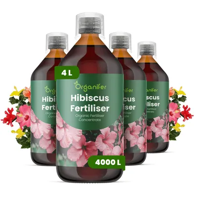 Produktbild von Hibiskus Flüssigdünger 4x1L – 2-1-8 NPK – Flüssig-Pflanzendünger für tropische & winterharte Hibiskusarten – Organifer