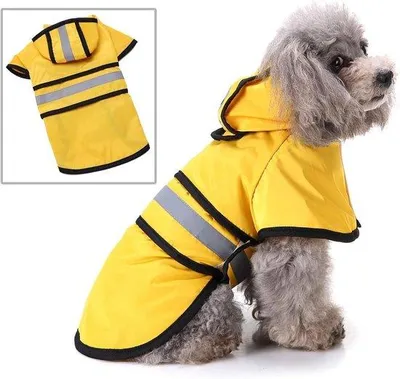 Image de Imperméable pour chien : petit/moyen/grand
