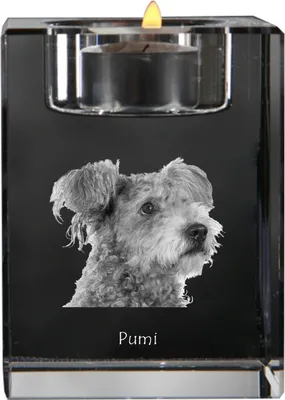 Produktbild von Pumi - Kerzenhalter mit Hundefoto, Teelichthalter aus Kristall, personalisiertes Geschenk der Marke Art-Dog