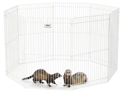 Immagine prodotto di MidWest Homes for Pets, modello 100-29, recinto per animali da compagnia di piccole dimensioni, ideale per ricci