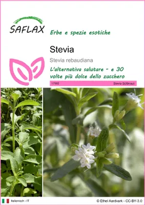 Immagine prodotto di SAFLAX  - Stevia - 100 semi - Stevia