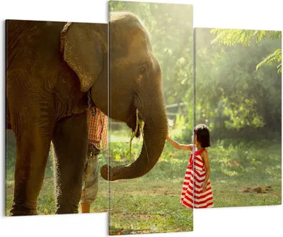 Produktbild von Bild auf Leinwand - Leinwandbild - Elefant Tier - 130x100cm - Wand Bild - Wanddeko - Wandbilder - Leinwanddruck - Bilder - Kunstdruck - Wanddekoration - Leinwand bilder - Wandkunst - CB130x100-3884