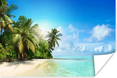 Produktbild von MuchoWow® Poster Meer - Palme - Strand - Tropisch - Blau - Grün 120x80 cm - Bilder