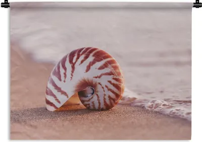 Produktbild von MuchoWow® Wandteppich Wandbehang Muschel - Strand - Meer - Sand 150x112.50 cm Tapisserie Dekoration Wandtuch - Wanddecke - Wandteppiche