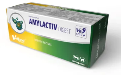 Productafbeelding van VetFood Amylactiv for digestion for dogs and cats 120 capsules