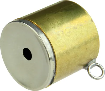 Produktbild von Vogelstimme Rotdrossel