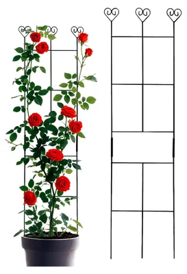 Produktbild von Rankhilfe für Kübelpflanzen | Stabiler Spalier für Kletterpflanzen im Balkon- und Gartenbereich, Pflanzstützen für Zimmerpflanzen wie Monstera, Efeu, Tomaten und Gurken
