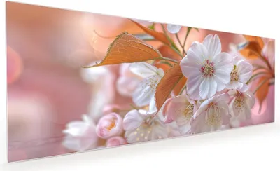Produktbild von Küchenrückwand Spritzschutz Glas mit Motiv Blühende Blüten 40 x 40 cm