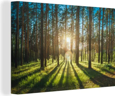 Obrázek produktu pro OneMillionCanvasses® - Obrazy na plátně - 140x90 cm, Slunce - Stromy - Krajina - Tráva, Nástěnné umění tisk Nástěnná dekorace - Fotografie na plátně - Obraz na dřevěném rámu