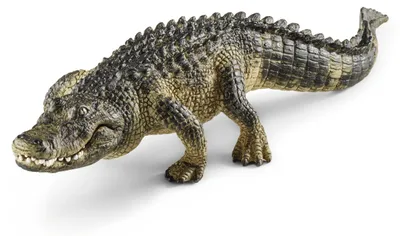Produktbild von Schleich - Tierfiguren, Alligator; 14727